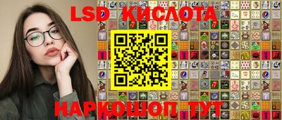 ПСИЛОЦИБИНОВЫЕ ГРИБЫ Кандалакша