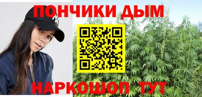 прущие грибы Канаш