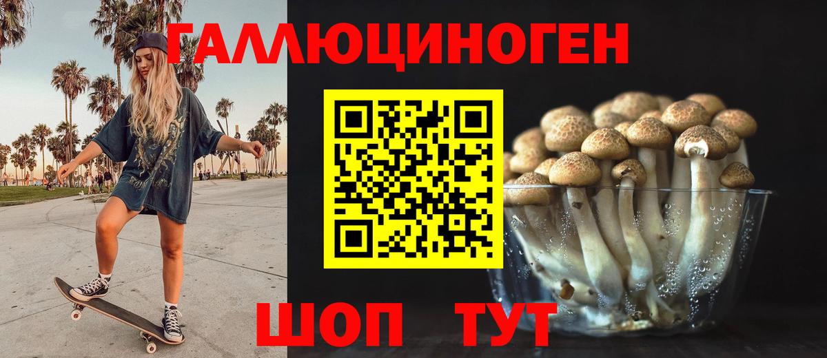 Псилоцибиновые грибы Psilocybe Майкоп