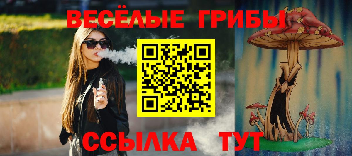 Псилоцибиновые грибы прущие грибы  Вход с VPN  Майкоп  Псилоцибиновые грибы Psilocybe 